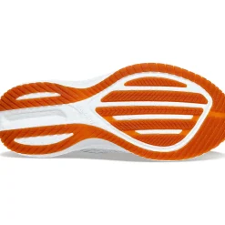 Saucony Dames Triumph Rfg Mist|Dames Neutraal