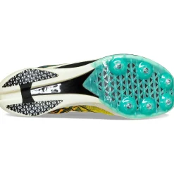 Saucony Heren Endorphin Cheetah Black / Vizi|Heren Racing