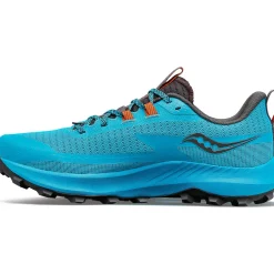 Saucony Heren Peregrine 13 Agave / Basalt|Heren Trail Running